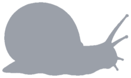 Garden snail, not yet caught